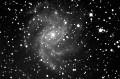 NGC 6946 350mm f4,4 04.09.05 25x70s.Platinum